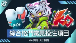 綜合格鬥常見投注項目